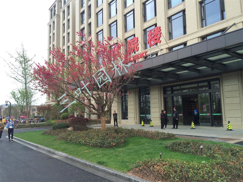 ���������t(y��)Ժ���������t(y��)Ժ�׵��w�����Ŀ���^�G������